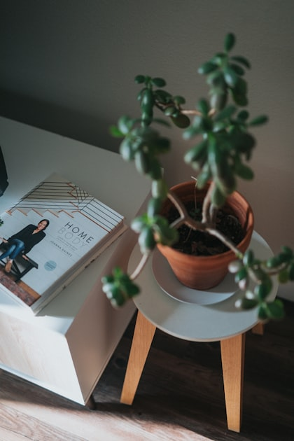 Furniture Choices for Cozy Homes